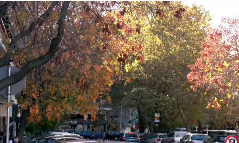 Θεσσαλονίκη: «Βροχή» προστίμων για αφισοκόλληση και φθορές σε δέντρα