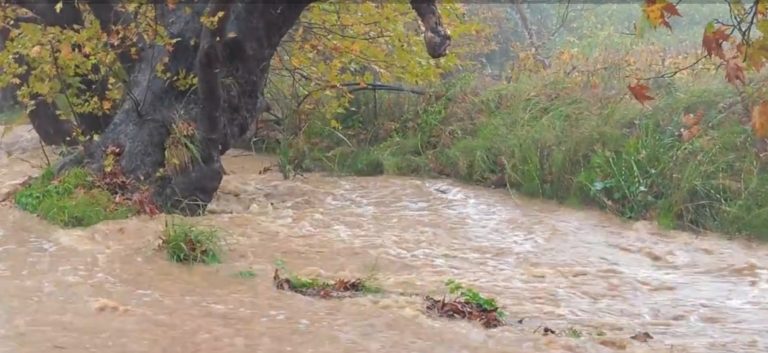 Άννα Μαρία Παπαδημητρίου: «Δεν οφείλονται σε ελλείψεις έργων τα πλημμυρικά φαινόμενα στη Σκιάθο»