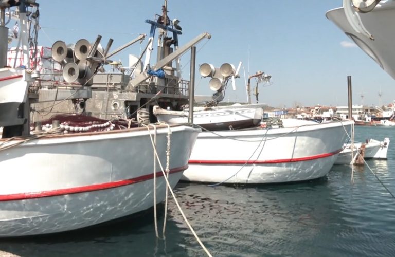 Κινητοποίηση των αλιέων γρι γρι- Αιτήματα προς το ΥΠΑΑΤ