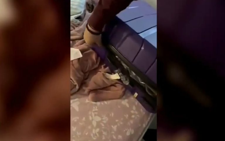 Εξαρθρώθηκε εγκληματική οργάνωση διακίνησης ναρκωτικών και μεταναστών – Οκτώ συλλήψεις, ανάμεσά τους γνωστός YouTuber, αρχιεπίσκοπος παλαιοημερολογιτών