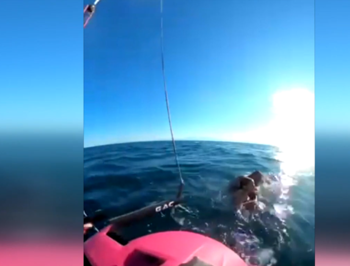 Θεσσαλονίκη: Βραβεύτηκε Έλληνας σέρφερ με το Χρυσό Μετάλλιο Τιμής από τον Πρόεδρο της Ουγγαρίας