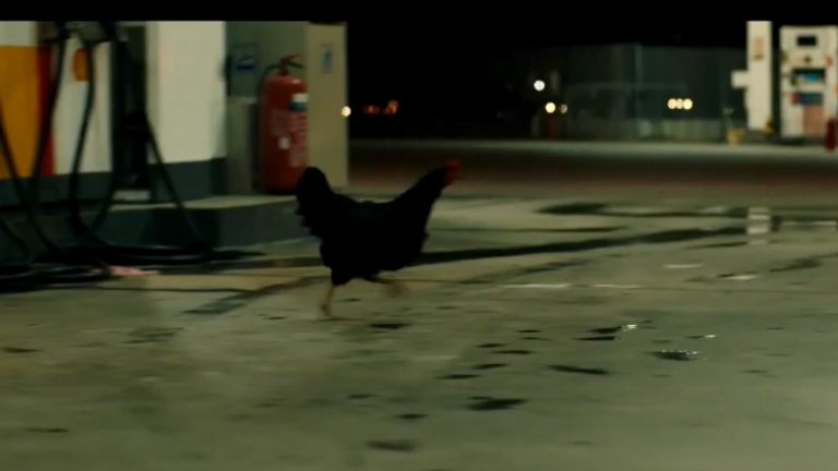 66ο Φεστιβάλ Κινηματογράφου Θεσσαλονίκης: Αυλαία για τη φετινή διοργάνωση με την ταινία «Κότα» του Γκιόργκι Πάλφι