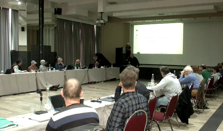 Θεσσαλονίκη: Αρκούδες και λύκοι στους οικισμούς- Ειδικοί εξηγούν τους λόγους των συχνών εμφανίσεων και προτείνουν λύσεις