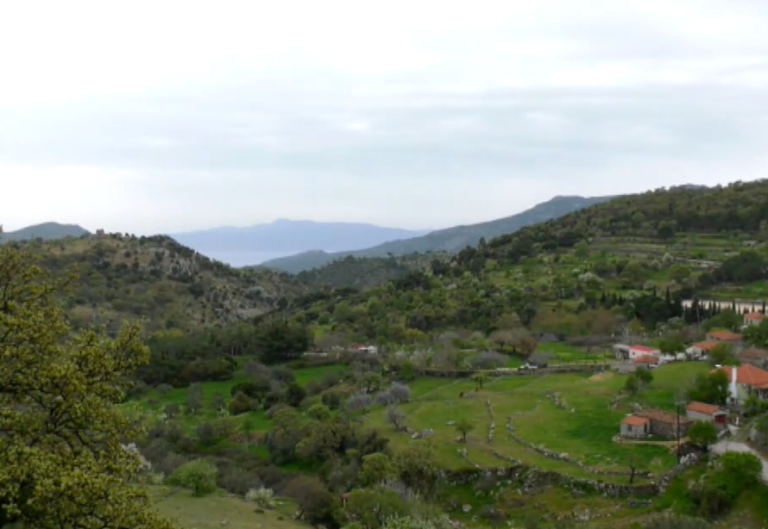 Ανεμώτια Λέσβου: Οι νέοι ανάβουν ξανά τα καζάνια- Ζωή στην περιοχή μέσα από την παράδοση και τον «θησαυρό» της καλδέρας