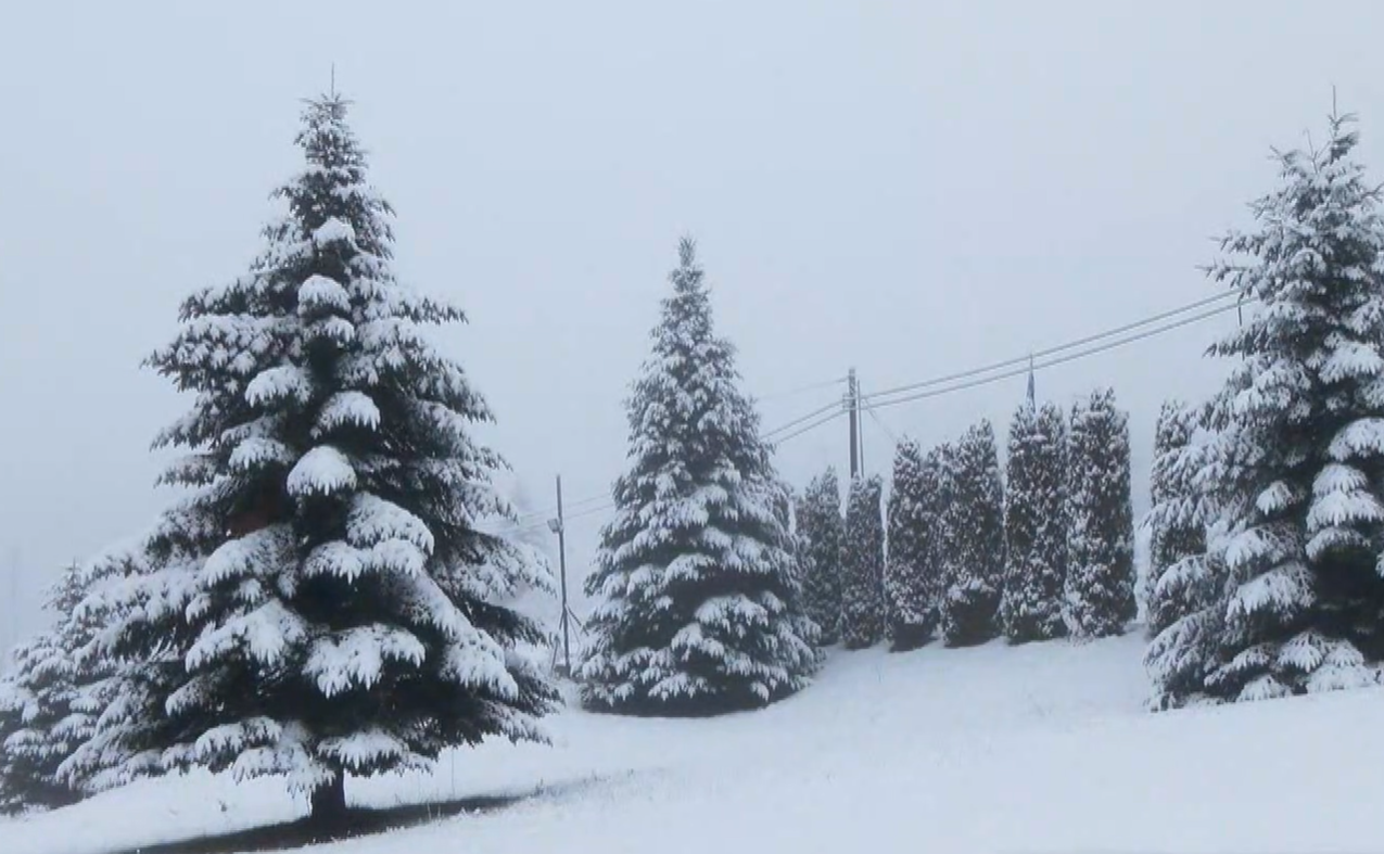 Λευκό και εντυπωσιακό τοπίο στο Πισοδέρι Φλώρινας
