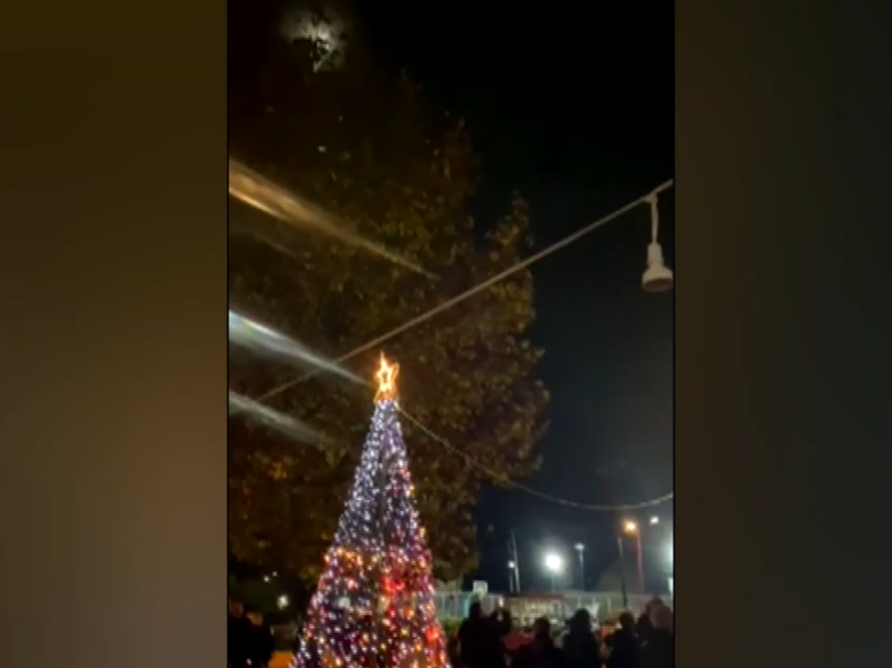 Δενδροχώρι Τρικάλων: Φωταγωγήθηκε το χριστουγεννιάτικο δέντρο- «Πόλος έλξης» το «Μπισκοτοχώρι»