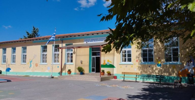 Οι μικροί οικολόγοι του ακριτικού Δημοτικού Σχολείου Δικαίων διδάσκουν ανακύκλωση στους κατοίκους