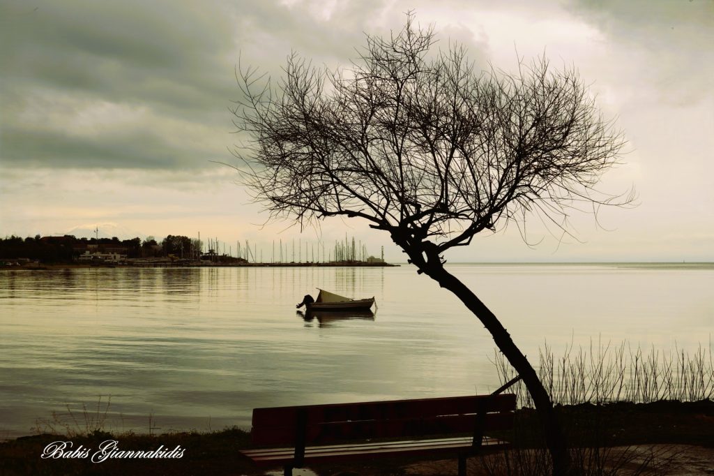 Θεσσαλονίκη: Οι «Αυτόπτες Μάρτυρες» με 20 καρέ του Θερμαϊκού – Έκθεση φωτογραφίας για καλό σκοπό στο καφέ-μπαρ «Θερμαϊκός»