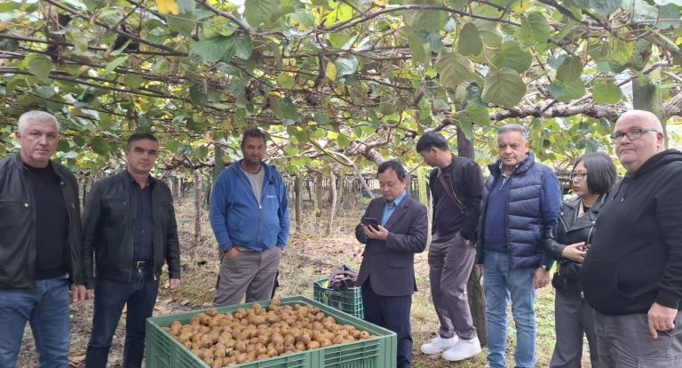 Στελέχη της Φυτοϋγειονομικής υπηρεσίας του Βιετνάμ σε καλλιέργειες ακτινιδίων στη Λάρισα