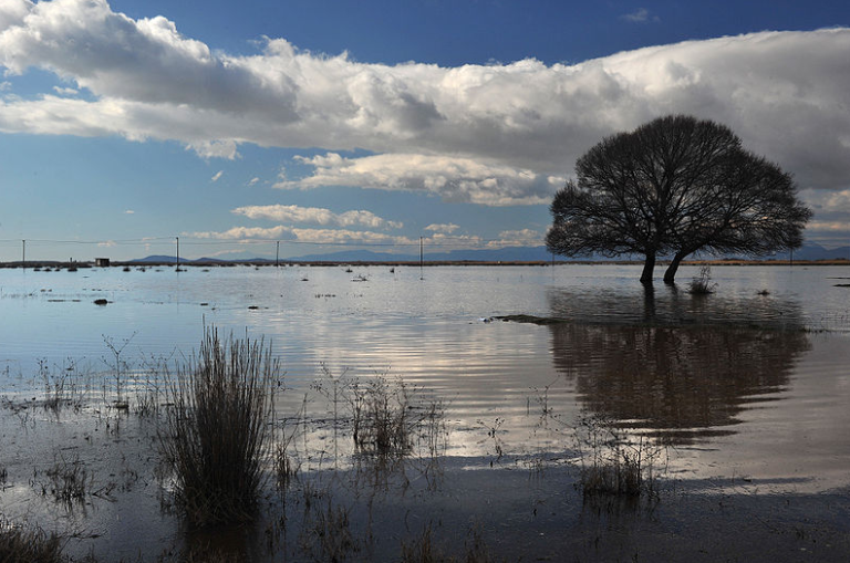 Θεσσαλονίκη: Υπογράφηκε στην Αποκεντρωμένη Διοίκηση Μακεδονίας-Θράκης η σύμβαση για την προστασία και διαχείριση της λίμνης Βιστωνίδας