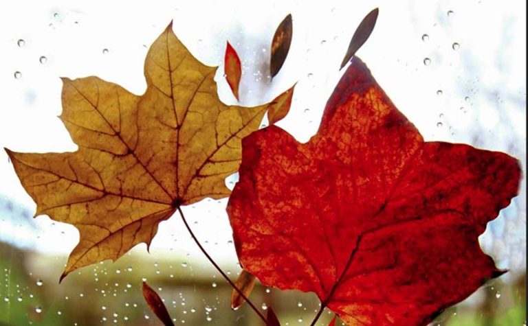 Καιρός: Βροχές και τοπικές καταιγίδες στα δυτικά – Πτώση της θερμοκρασίας από Τετάρτη