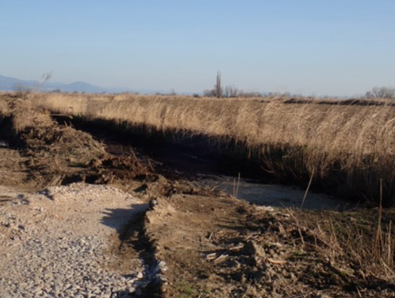 Θεσσαλονίκη: Πρόεδρος Εταιρείας Τροφίμων έριχνε βιομηχανικά απόβλητα σε αποστραγγιστικό κανάλι