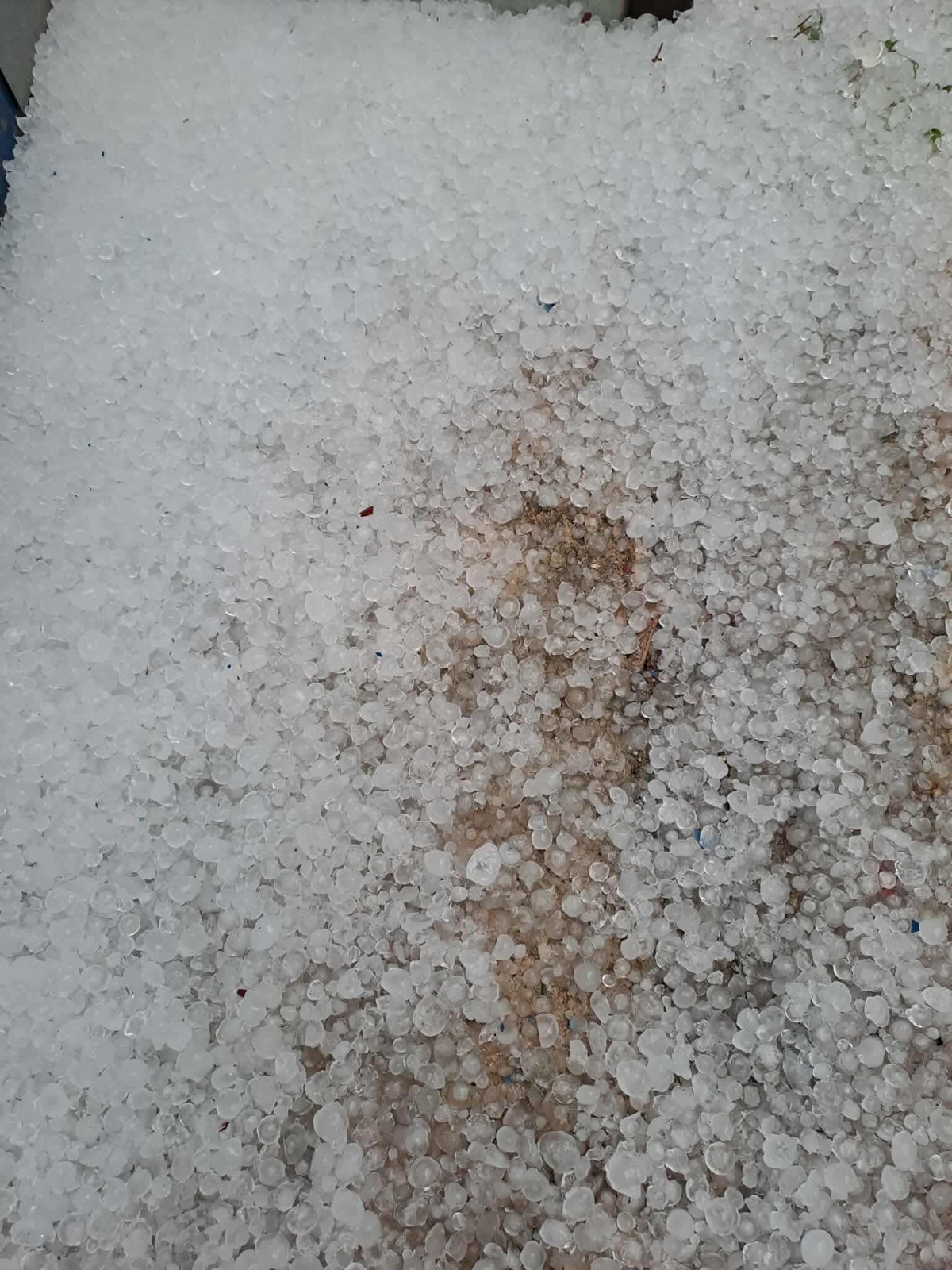 Χαλάζι στην Αργολίδα: Κλιμάκιο του ΕΛΓΑ στις πληγείσες περιοχές