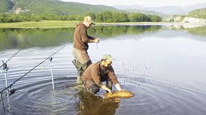 7ος αγώνας αθλητικής αλιείας κυπρίνου στη λίμνη Κερκίνη