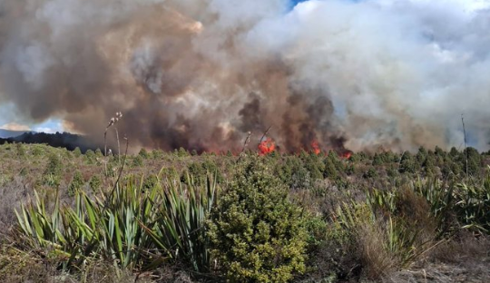 Βροχή έσβησε τη μεγάλη πυρκαγιά που έκαιγε το παλαιότερο εθνικό πάρκο της Νέας Ζηλανδίας