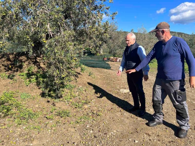Σε περιοχές της Ερμιονίδας βρέθηκε ο Υφυπουργός Αγροτικής Ανάπτυξης Γ. Ανδριανός