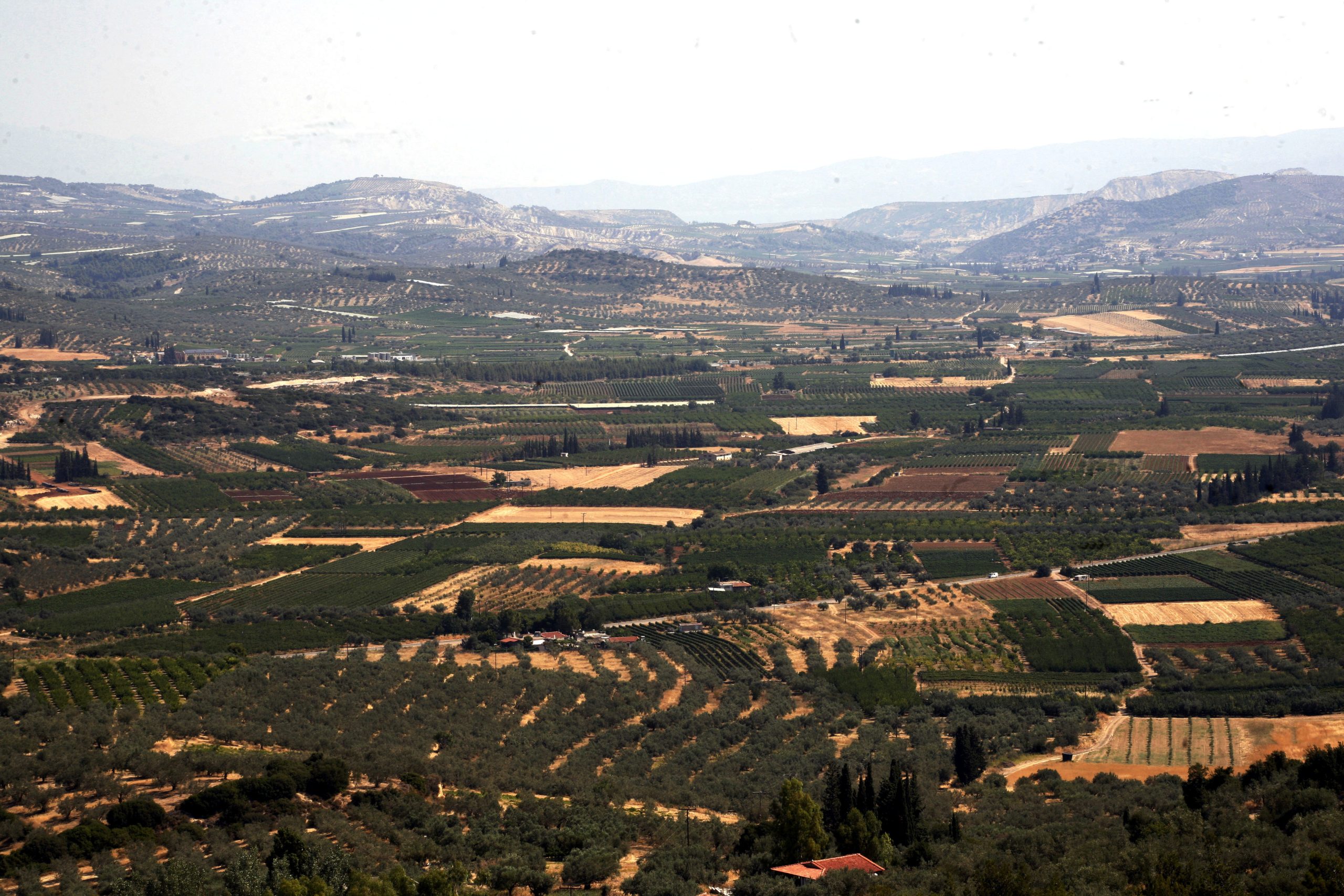 Άνοιξε το σύστημα για διορθώσεις στην ΕΑΕ 2025 λόγω monitoring – Ειδοποίηση για αγρανάπαυση και κοπτολίβαδα