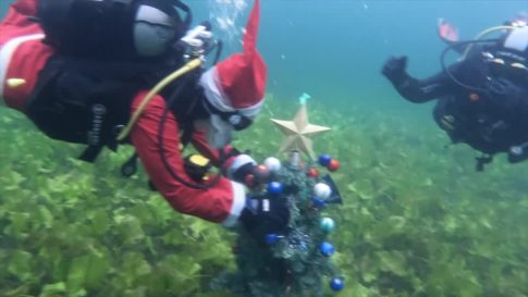 <strong><u>Βάρδα: Διήμερο δράσεων κατά της έμφυλης βίας</u></strong>