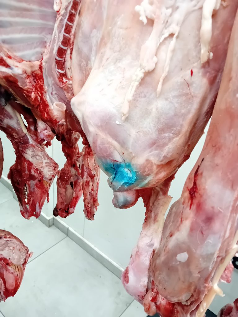 Κατασχέθηκαν 12 τόνοι ακατάλληλων προϊόντων στην Αττική: Χαλασμένα μπιφτέκια, βρόμικους πάγκους και άθλιες συνθήκες υγιεινής εντόπισαν έλεγχοι της Περιφέρειας