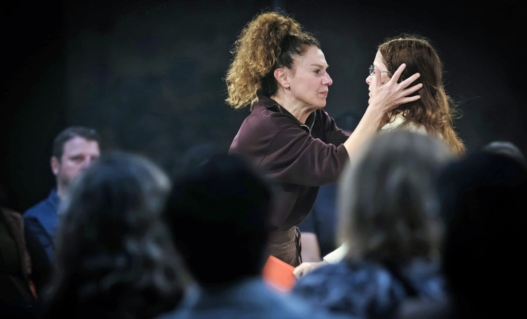 «Ολική Άμεση Συλλογική Επικείμενη Σωτηρία» -12 τελευταίες παραστάσεις για το φαινόμενο