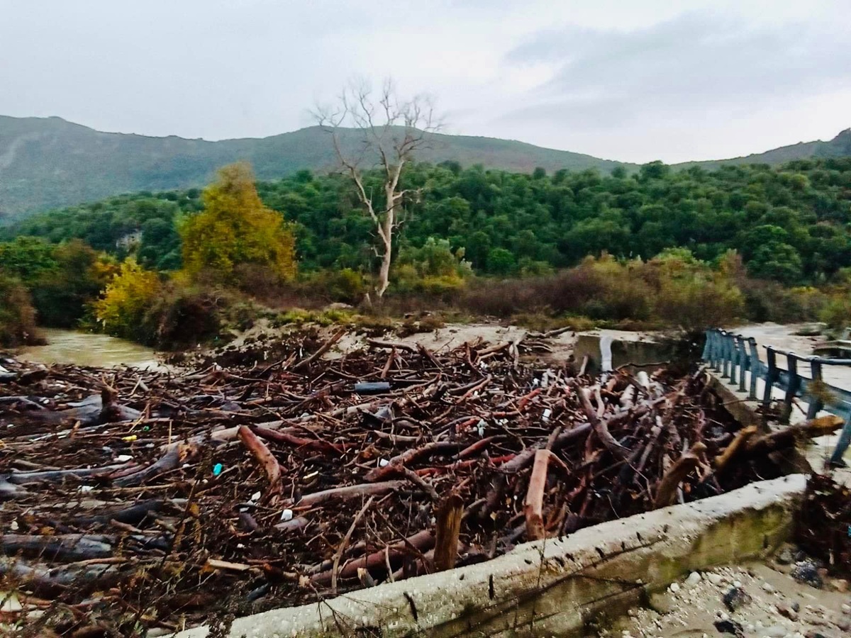 487698751-9299649510160422-6551662943201473472-n