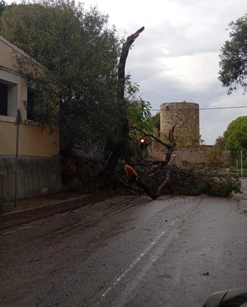 Άμεση η αντιμετώπιση των προβλημάτων στη Ρόδο από την κακοκαιρία «Byron» – Σε ετοιμότητα και σήμερα οι υπηρεσίες