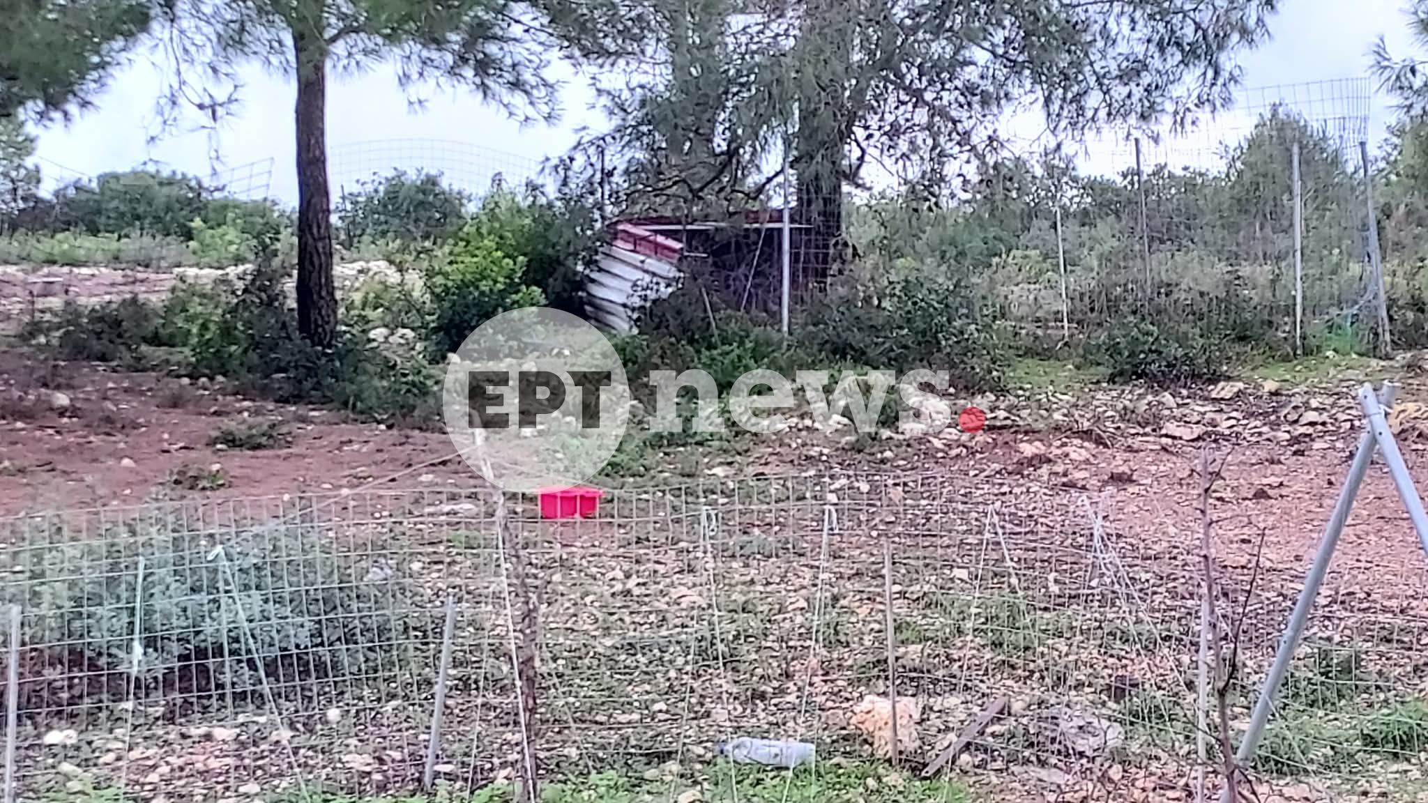 Ζάκυνθος: Νεκρό αγοράκι 2 ετών από επίθεση σκύλου – Το δάγκωσε θανάσιμα στον λαιμό