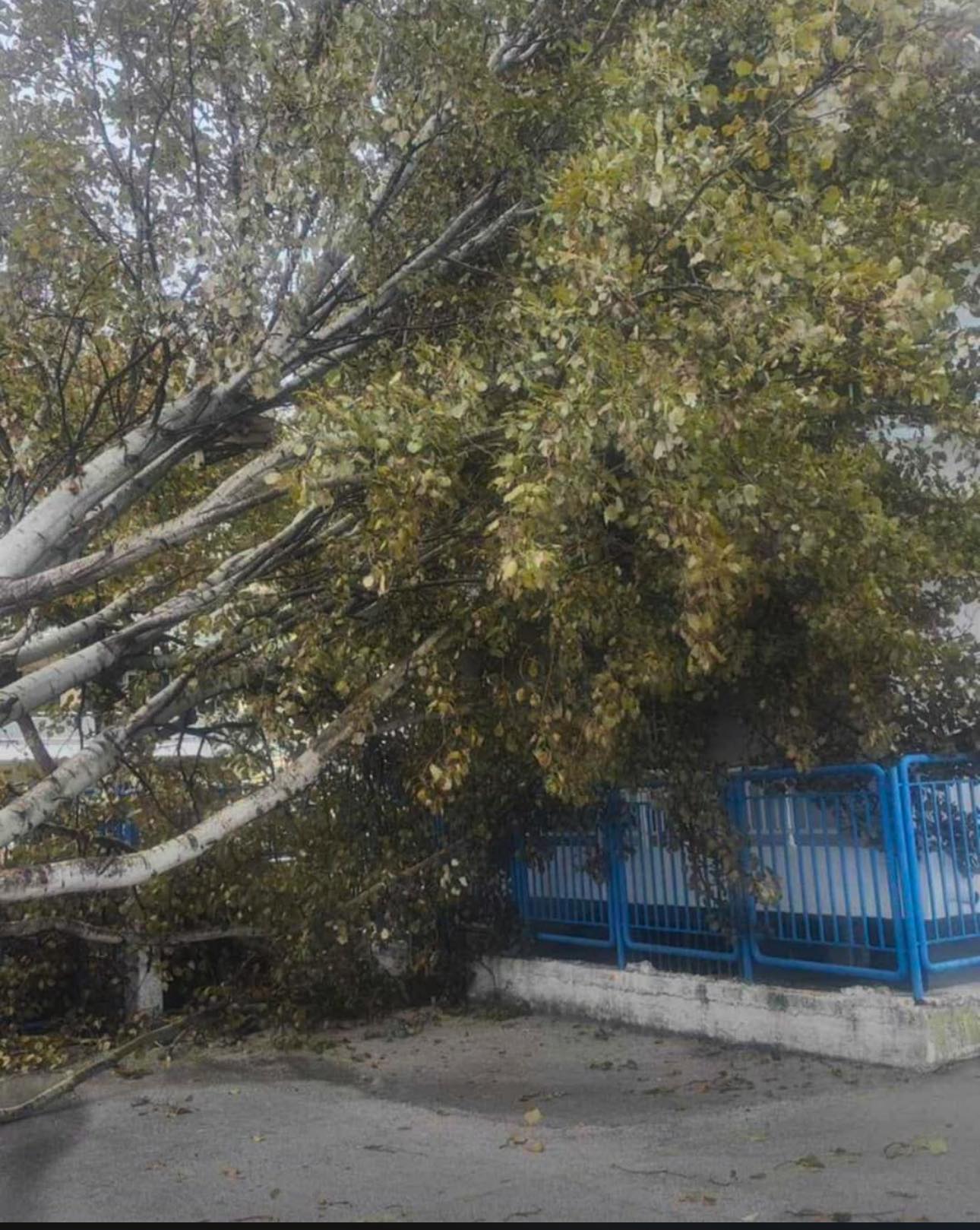 Άμεση η αντιμετώπιση των προβλημάτων στη Ρόδο από την κακοκαιρία «Byron» – Σε ετοιμότητα και σήμερα οι υπηρεσίες