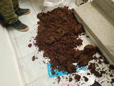 Σάμος: Προφυλακίστηκε ο 47χρονος εμπλεκόμενος σε εκτεταμένο κύκλωμα απάτης – Πάνω από 440.000 ευρώ η ζημιά