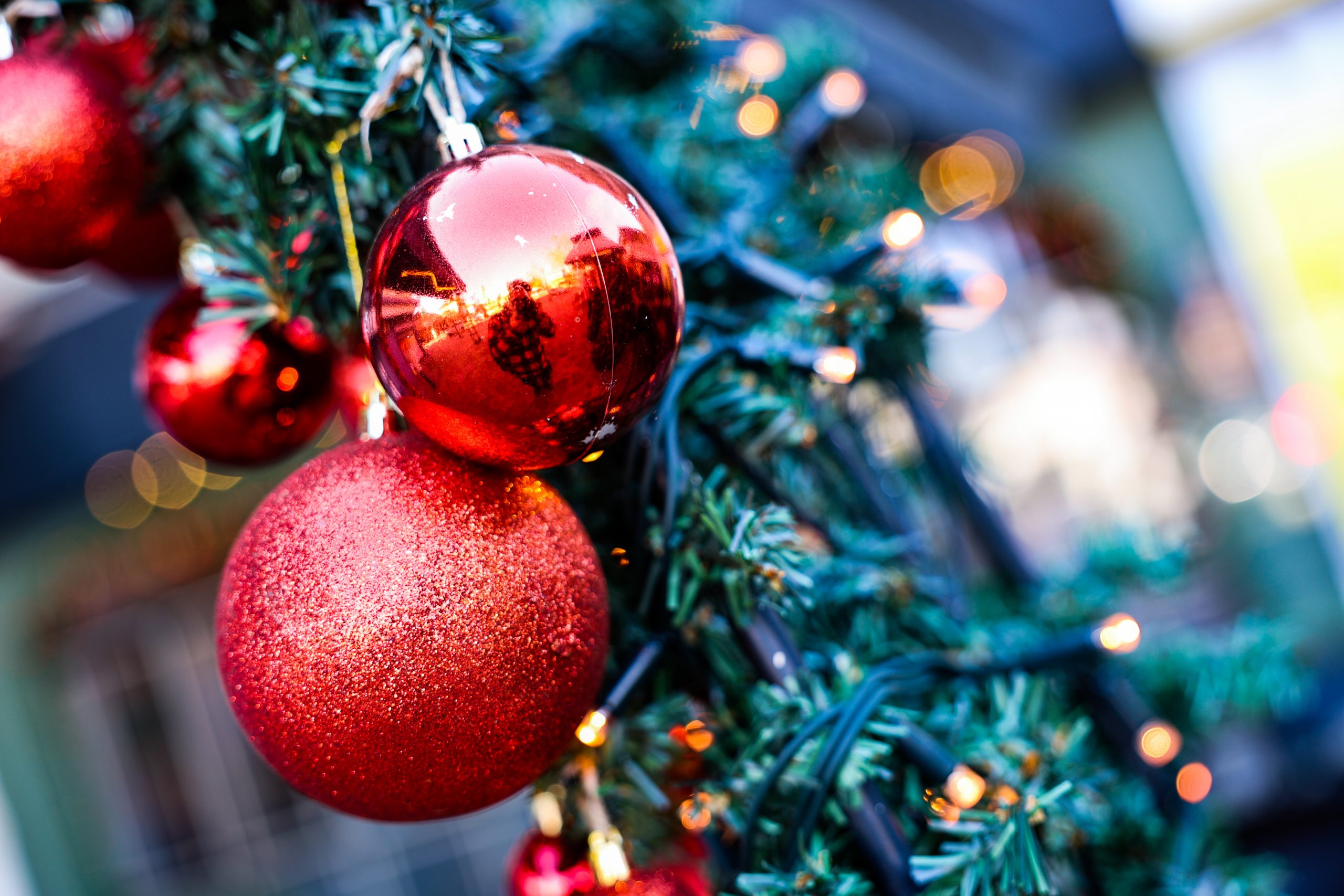 Κιλκίς: Ο «Κήπος των Χριστουγέννων» ξανανθίζει στην πλατεία Ειρήνης