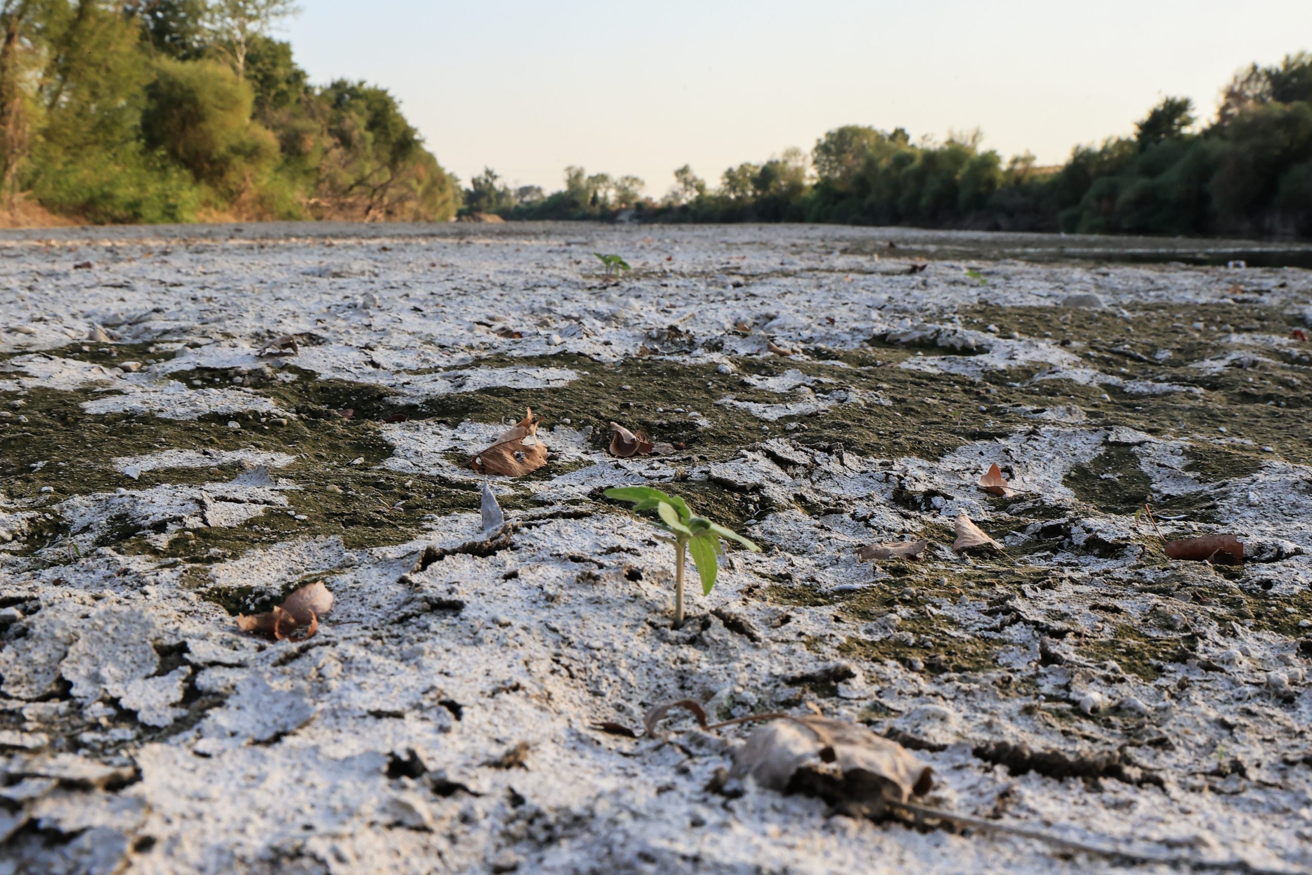 Kαθηγητής Γεωλογίας στο ΕΡΤnews: Για να τροφοδοτήσουμε τα υπόγεια νερά χρειάζονται μέρες και μήνες βροχών – Καλύτερος ο Νοέμβριος από τον αντίστοιχο του 2024