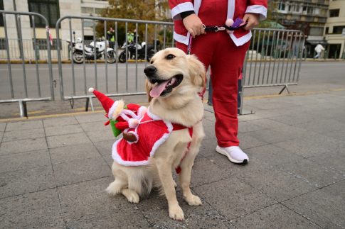 Χριστουγεννιάτικη παρέλαση στη βάση Starbase της SpaceX