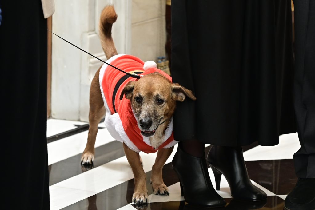 Τα κάλαντα των Χριστουγέννων στον Πρωθυπουργό από το Μουσικό Σχολείο Αλίμου και τον Πολιτιστικό Σύλλογο Ερέτριας «Κωνσταντίνος Κανάρης» (εικόνες)