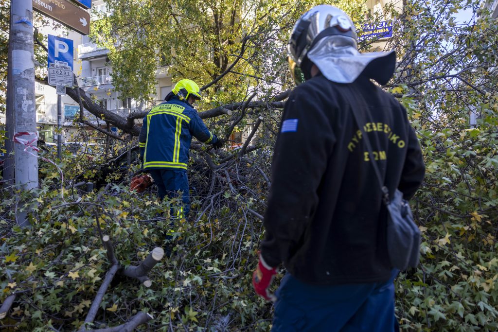 Ισχυροί άνεμοι στη Θεσσαλονίκη- Κλαδί δέντρου χτύπησε αυτοκίνητο εν κινήσει- Συστάσεις από την Πολιτική Προστασία