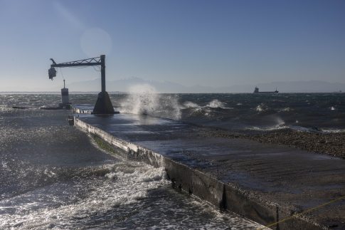 Ένθετο Γεωργία: <strong>Κινδυνεύει η παραγωγή του τυριού «Σαν Μιχάλη»</strong>