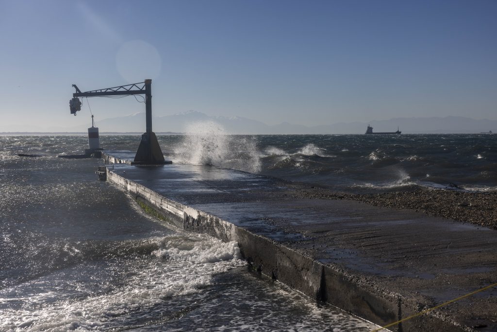 Ισχυροί άνεμοι στη Θεσσαλονίκη- Κλαδί δέντρου χτύπησε αυτοκίνητο εν κινήσει- Συστάσεις από την Πολιτική Προστασία