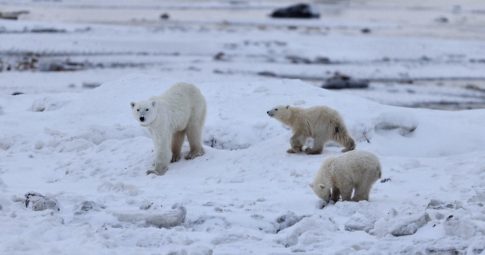 Με βροχές θα κάνουμε Χριστούγεννα – Αστάθεια έως την Πρωτοχρονιά, πότε έρχονται τα χιόνια