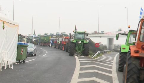 Αλιγάτορας σταμάτησε τις πτήσεις σε αεροπορική βάση των ΗΠΑ – Δείτε το εντυπωσιακό βίντεο από την επιχείρηση για την απομάκρυνσή του