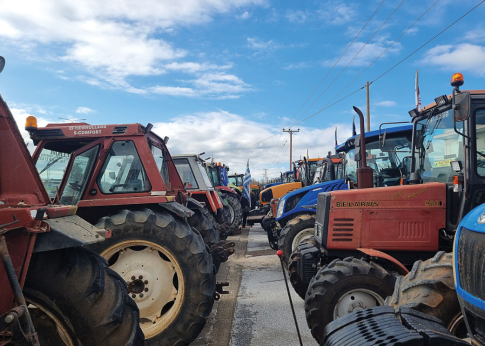 Μυτιλήνη: Δράσεις αγάπης για ζώα και περιβάλλον στο χριστουγεννιάτικο χωριό