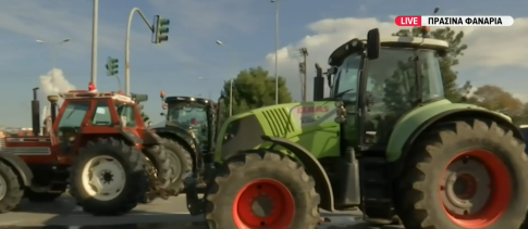 Θεσσαλονίκη: Παράνομη υλοτομία στο δάσος της Αρέθουσας– Στη φυλακή 69χρονος, διαφωνία εισαγγελέα και ανακριτή για την ποινική μεταχείριση του 27χρονου γιου του