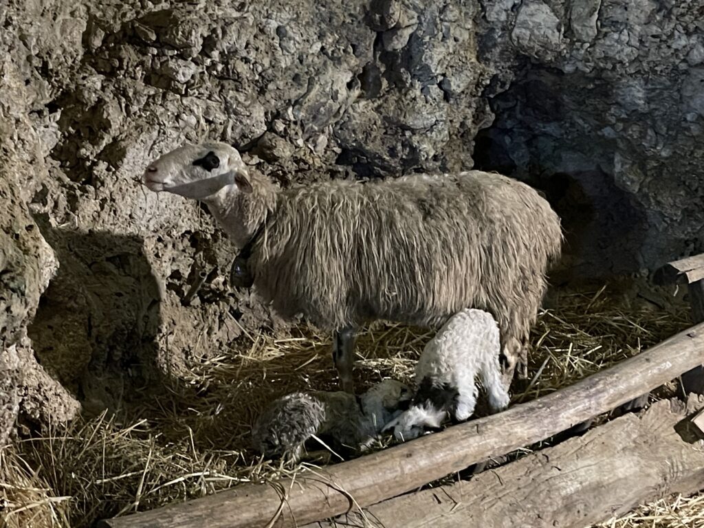 Χανιά: Σε κλίμα κατάνυξης η λειτουργία με την αναπαράσταση της Θείας γέννησης στο σπήλαιο Μαραθοκεφάλας
