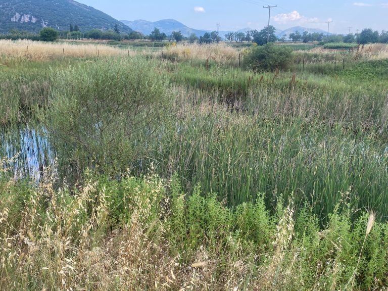 Στο ”Πελοπόννησος” το μεγάλο αντιπλημμυρικό έργο του Ζευγολατιού και του Νεοχωρίου Αρκαδίας