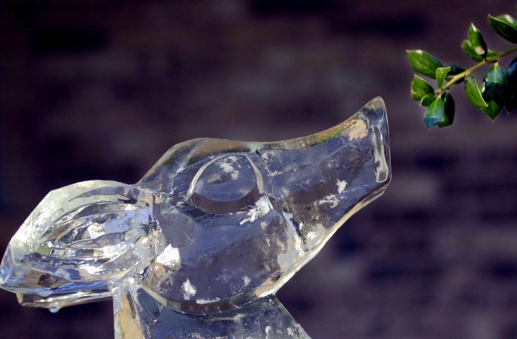 Από τα κλαδιά στα φιλιά: πώς το γκι έγινε χριστουγεννιάτικο σύμβολο