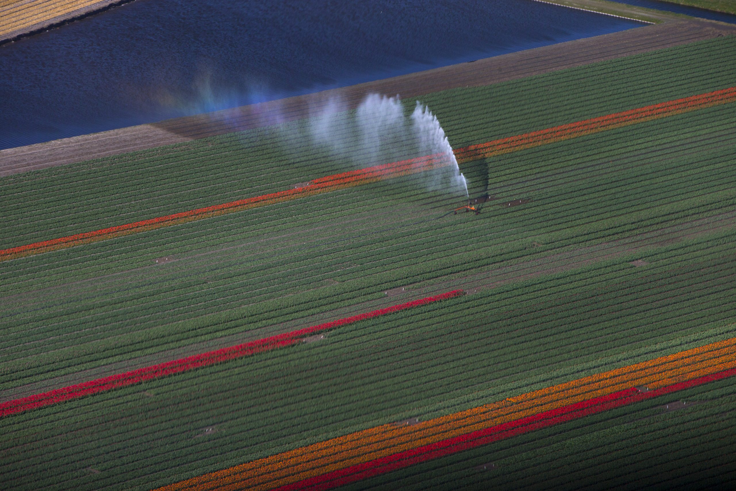 ΕΕ – Βιοτεχνολογία τροφίμων: Συμφωνία για τις γονιδιωματικές τεχνικές στη γεωργία
