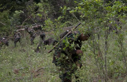 Τσιάρας: Καλούμε σε ουσιαστικό διάλογο τους αγρότες – Περιθώρια παρεμβάσεων σε κόστος παραγωγής, ενέργεια, καύσιμα στην αντλία και ΕΛΓΑ