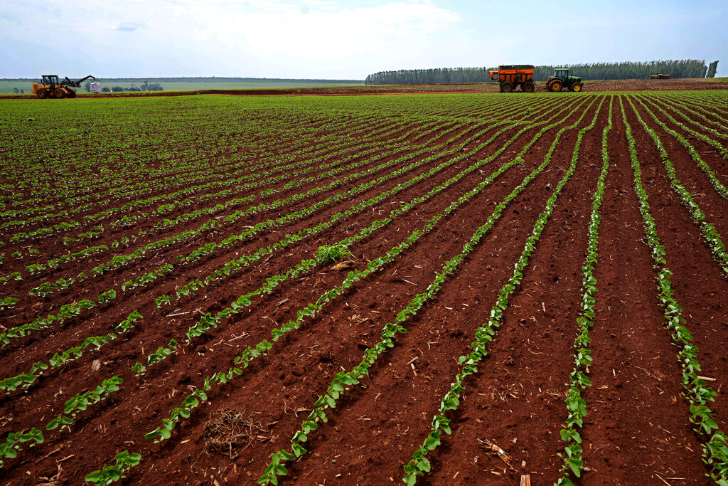 Εδαφο-σεισμολογία: Πώς τα σεισμικά κύματα μπορούν να ελέγξουν την υγεία του εδάφους