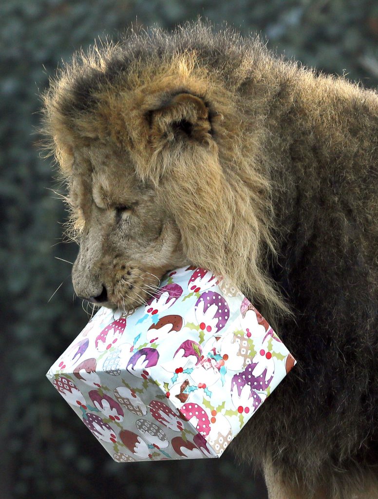 Γιατί δεν θα κάνω δώρα φέτος τα Χριστούγεννα