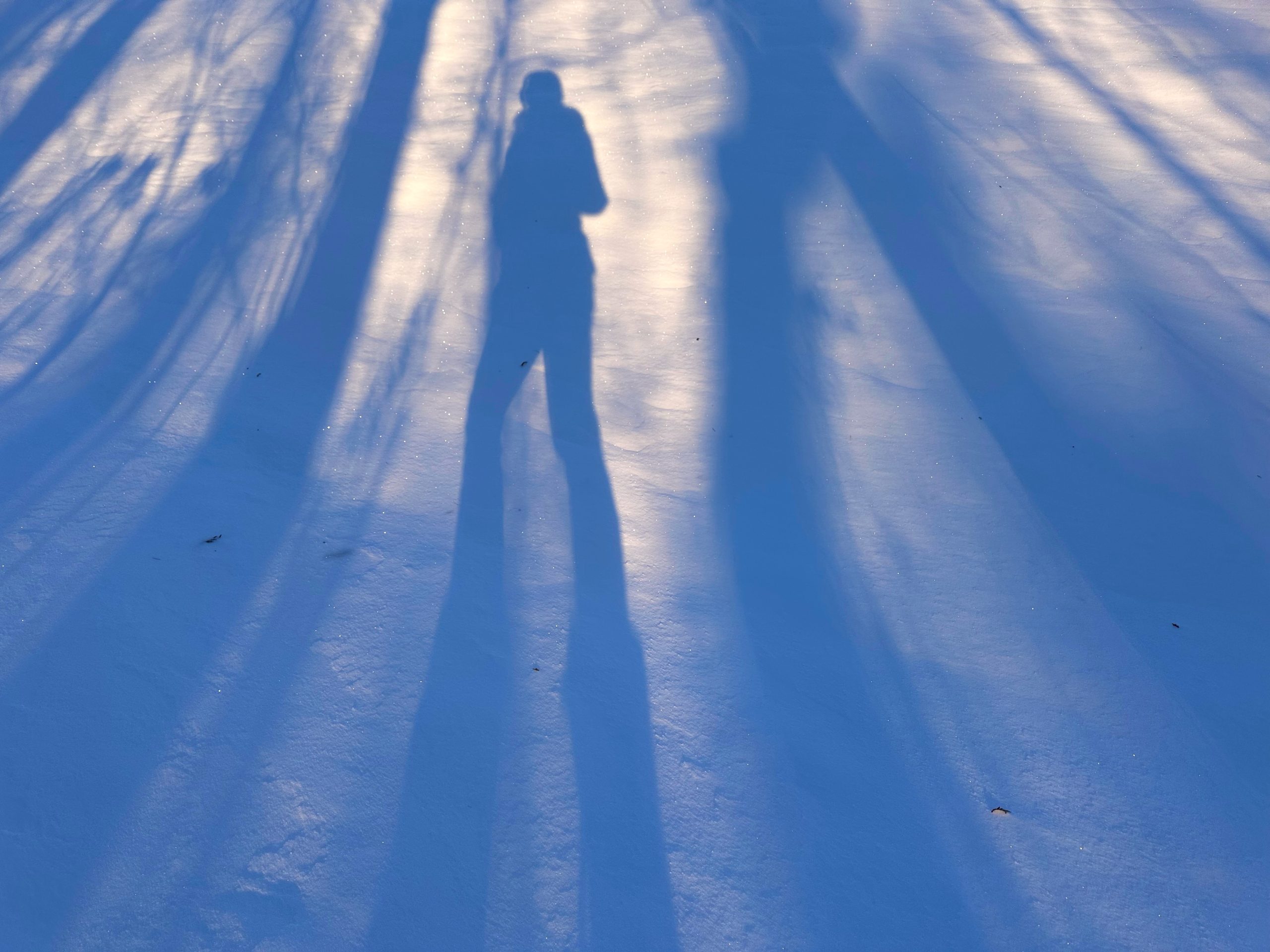 Η ανθρώπινη προσωπικότητα στη σκια της Σκοτεινής Τριάδας