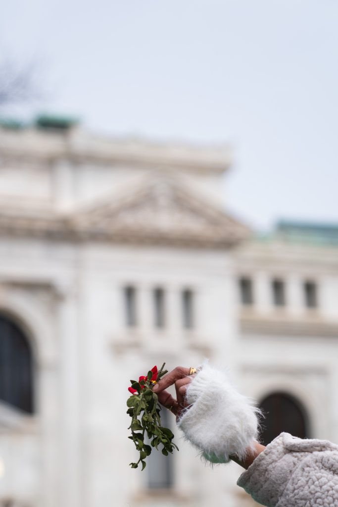 Από τα κλαδιά στα φιλιά: πώς το γκι έγινε χριστουγεννιάτικο σύμβολο