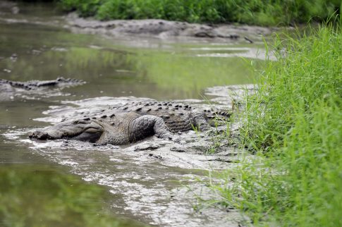 Θεσσαλονίκη: Άφησαν τα ανήλικα παιδιά τους να κοιμούνται σε αυλή νεόκτιστου σπιτιού